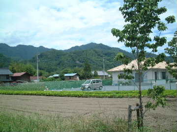 DSCF0023.JPG - 21,438BYTES