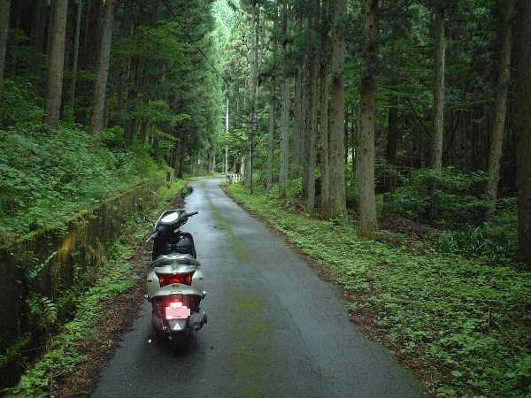 DSCF0033.JPG - 64,607BYTES