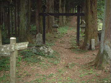 DSCF0041.JPG - 20,838BYTES