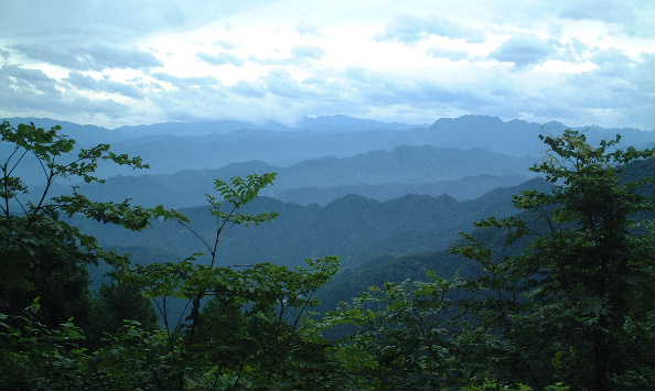 DSCF0049.JPG - 28,574BYTES
