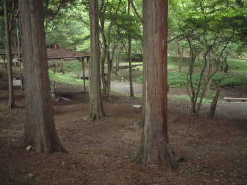 DSCF0050.JPG - 20,006BYTES