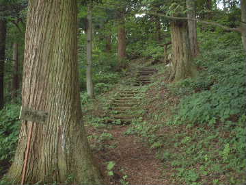 DSCF0055.JPG - 22,812BYTES