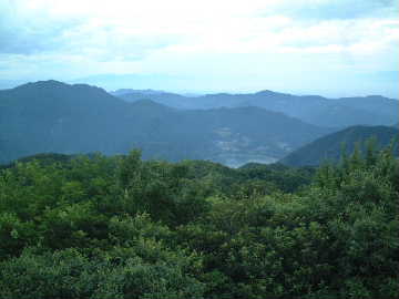 DSCF0066.JPG - 14,496BYTES