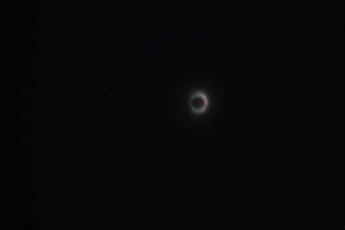 P1000139-1.JPG - 7,201BYTES
