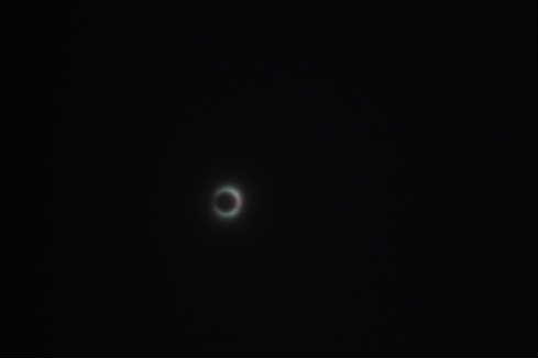 P1000140-1.JPG - 7,194BYTES