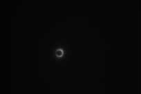 P1000140-2.JPG - 3,385BYTES