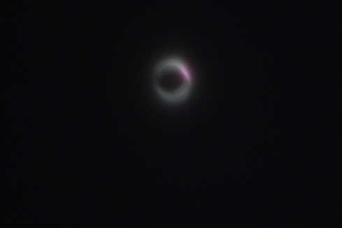P1000141-1.JPG - 7,534BYTES