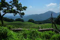 P1000346-2.JPG - 11,329BYTES
