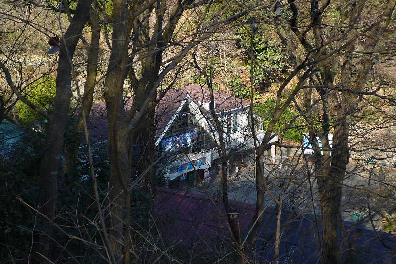 P1000452.JPG - 103,441BYTES