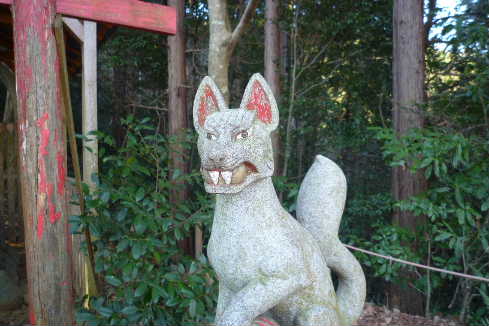 P1000453.JPG - 32,586BYTES