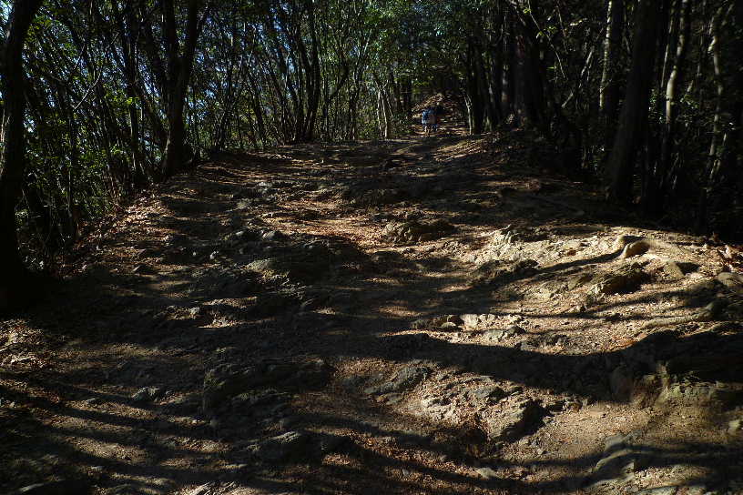 P1000456.JPG - 94,704BYTES