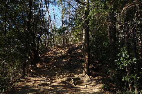 P1000457.JPG - 44,151BYTES