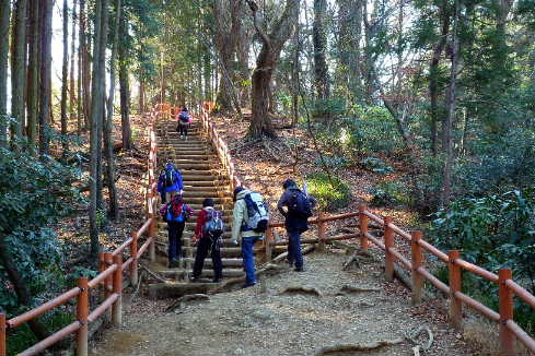 P1000462-1.JPG - 49,361BYTES