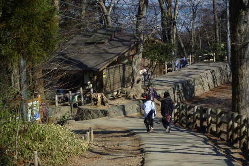 P1000469.JPG - 38,042BYTES