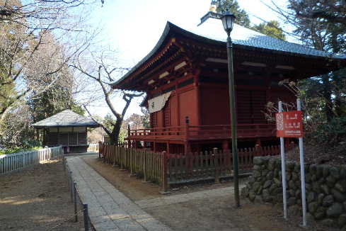 P1000471.JPG - 33,482BYTES