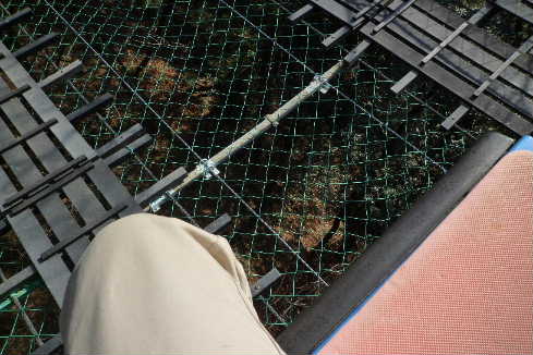 P1000497.JPG - 37,651BYTES