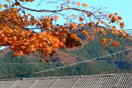 P1010771.JPG - 114,328BYTES