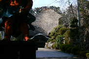 P1020726-1.JPG - 9,618BYTES