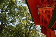 P1020798-1.JPG - 12,923BYTES