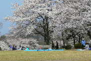 P1020858-1.JPG - 11,640BYTES