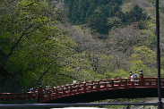 P1030100-2.JPG - 9,445BYTES
