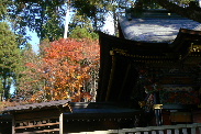 P1060089-1.JPG - 25,724BYTES