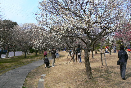 P1060433.JPG - 102,175BYTES