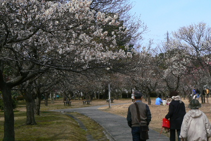 P1060437.JPG - 88,657BYTES