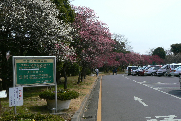 P1060443-1.JPG - 194,029BYTES