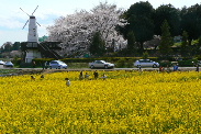P1060504-1.JPG - 25,515BYTES