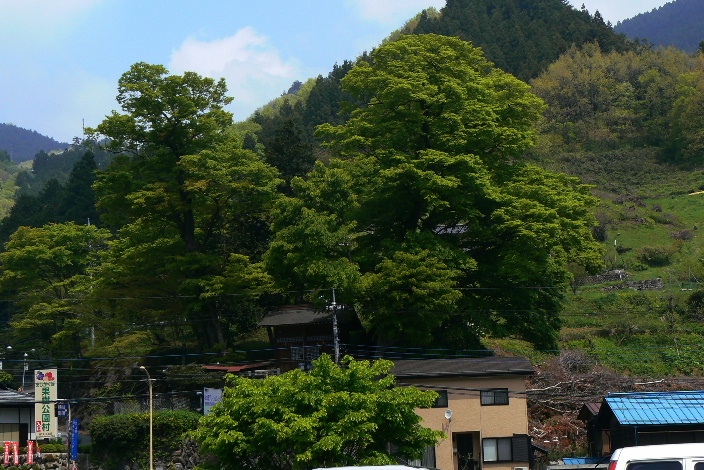 P1060666-2.JPG - 218,504BYTES