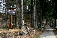 P1060667-2.JPG - 25,257BYTES