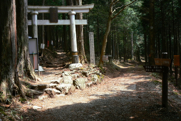 P1060674-1.JPG - 236,804BYTES