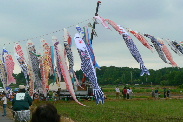 P1060723-1.JPG - 21,446BYTES