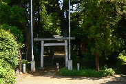 P1060772-1.JPG - 11,557BYTES