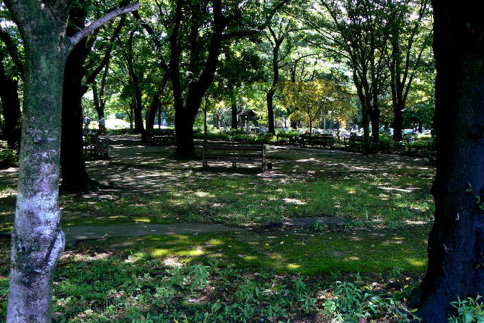 P1060775-1.JPG - 88,177BYTES