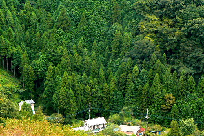 P1070093-1.JPG - 86,708BYTES