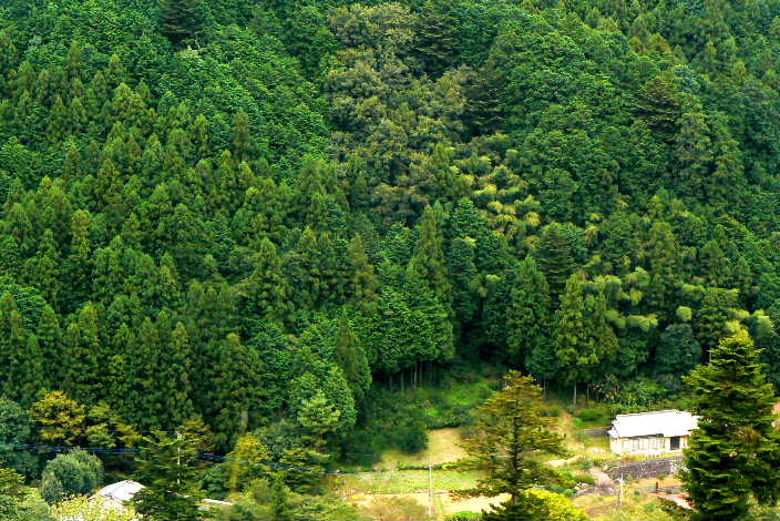 P1070094-1.JPG - 87,985BYTES