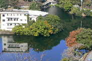 P1070204-2.JPG - 11,386BYTES