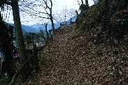 P1070303-1.JPG - 10,885BYTES