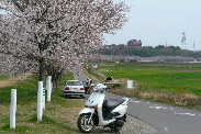 P1080094-1.JPG - 10,610BYTES