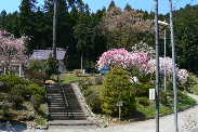 P1080156-1.JPG - 12,307BYTES