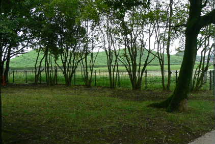 P1080326.JPG - 31,032BYTES