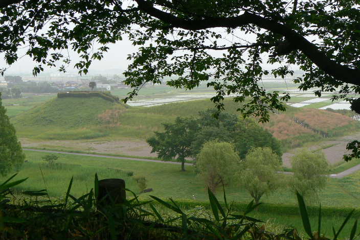 P1080341.JPG - 69,259BYTES