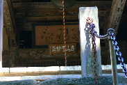 P1080983-1.JPG - 9,579BYTES