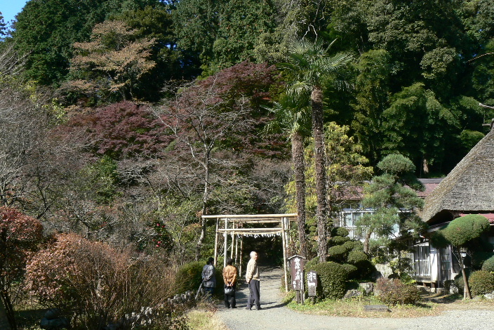 P1090141.JPG - 270,024BYTES