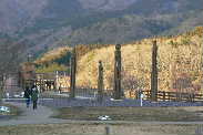 P1090259-2.JPG - 9,473BYTES