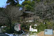 P1090555-2.JPG - 11,326BYTES
