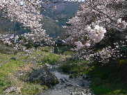 P1090820-2.JPG - 12,507BYTES