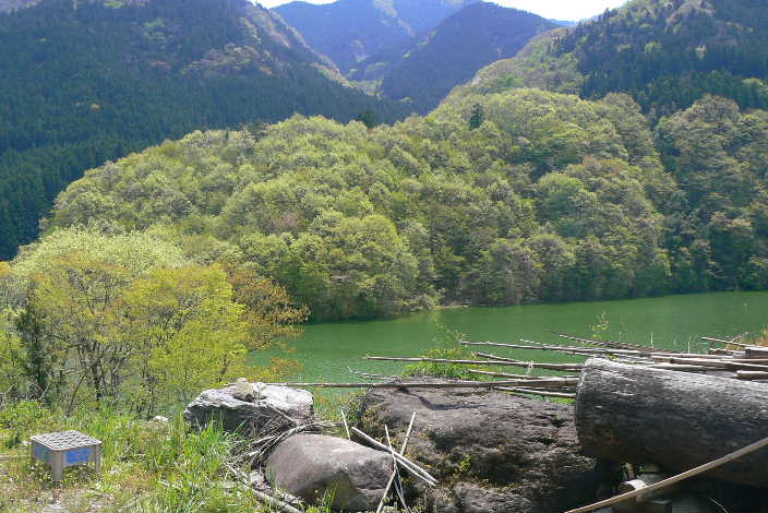 P1090963.JPG - 65,419BYTES